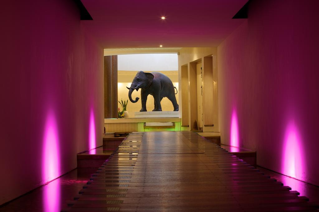 Seaham Hall And Serenity Spa Eksteriør bilde